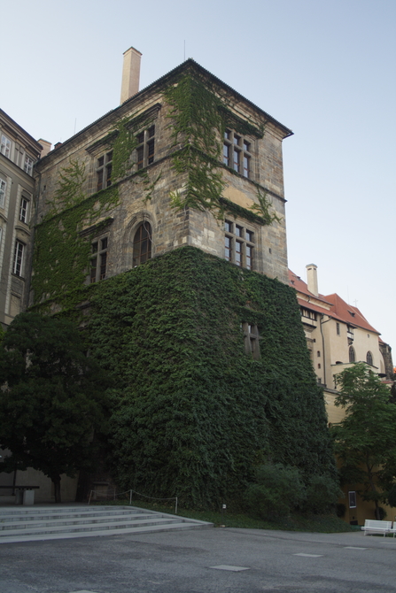 CIAA 2007 - img_5969-web.jpg (<i>Tuesday 17, 2007 - Conference trip - Prague Castle Walk</i>: Old Royal Palace)